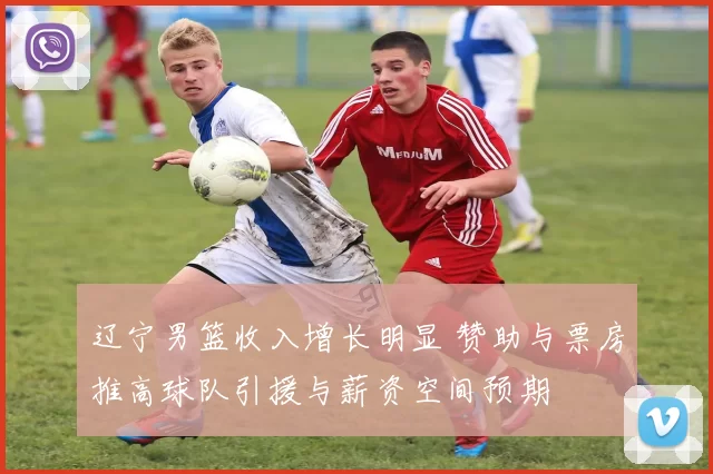 辽宁男篮收入增长明显 赞助与票房推高球队引援与薪资空间预期