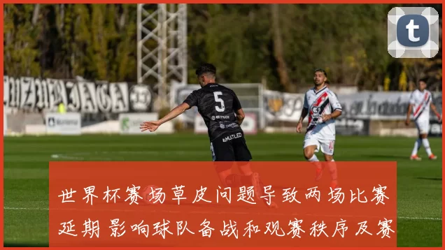 世界杯赛场草皮问题导致两场比赛延期 影响球队备战和观赛秩序及赛程安排