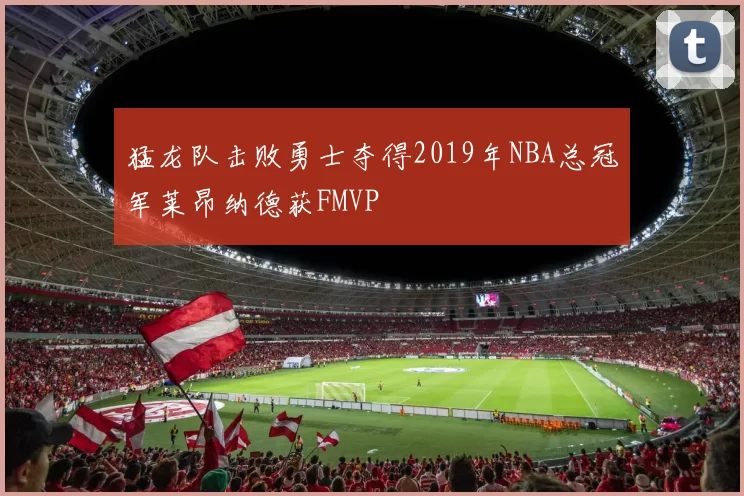 猛龙队击败勇士夺得2019年NBA总冠军莱昂纳德获FMVP