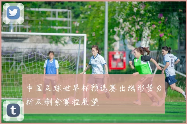中国足球世界杯预选赛出线形势分析及剩余赛程展望