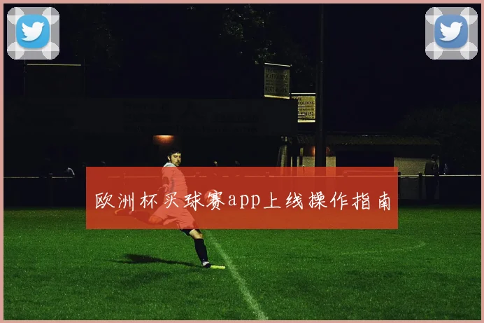 欧洲杯买球赛app上线操作指南