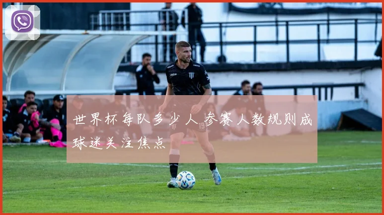 世界杯每队多少人 参赛人数规则成球迷关注焦点