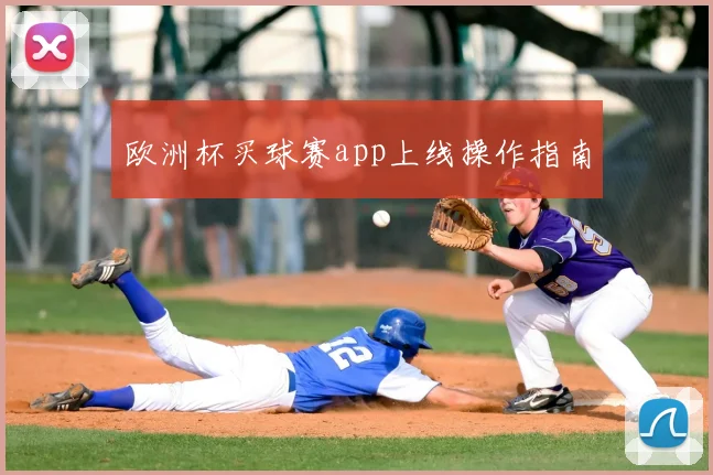 欧洲杯买球赛app上线操作指南